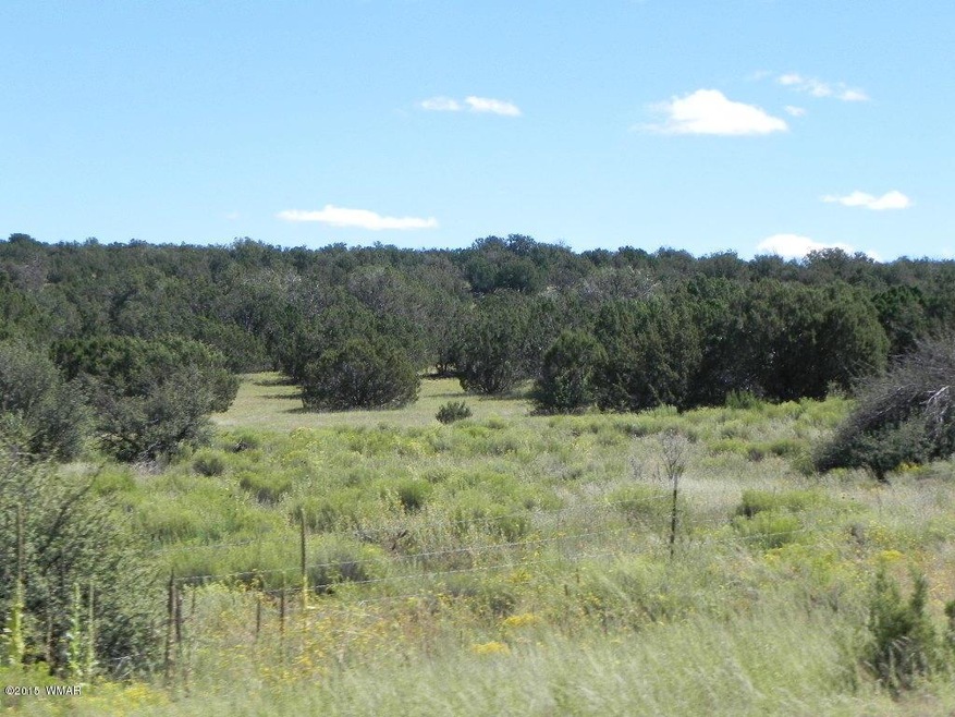 Bourdon Ranch Road Property 002