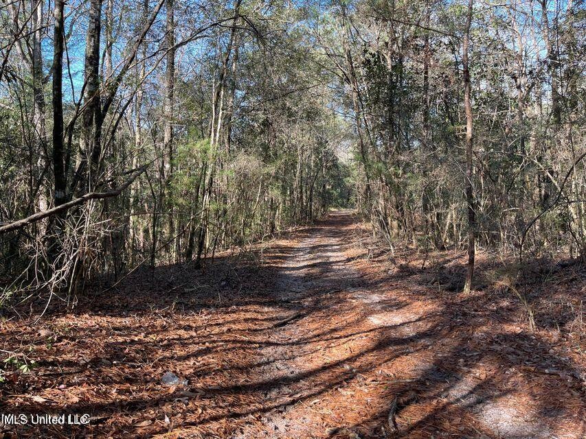 ATV Trail
