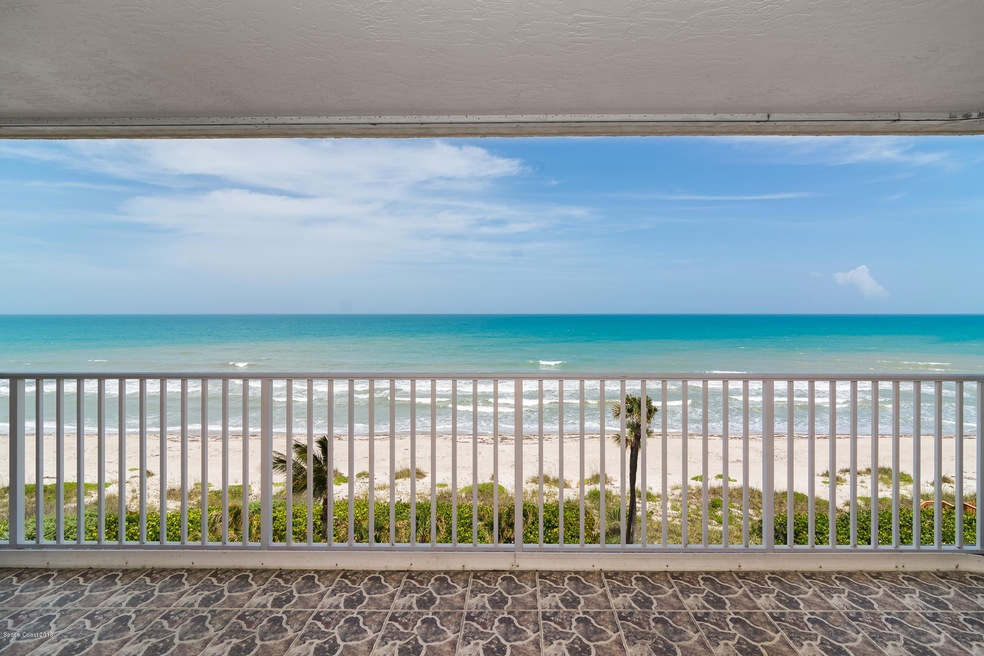 Royal Palm -008