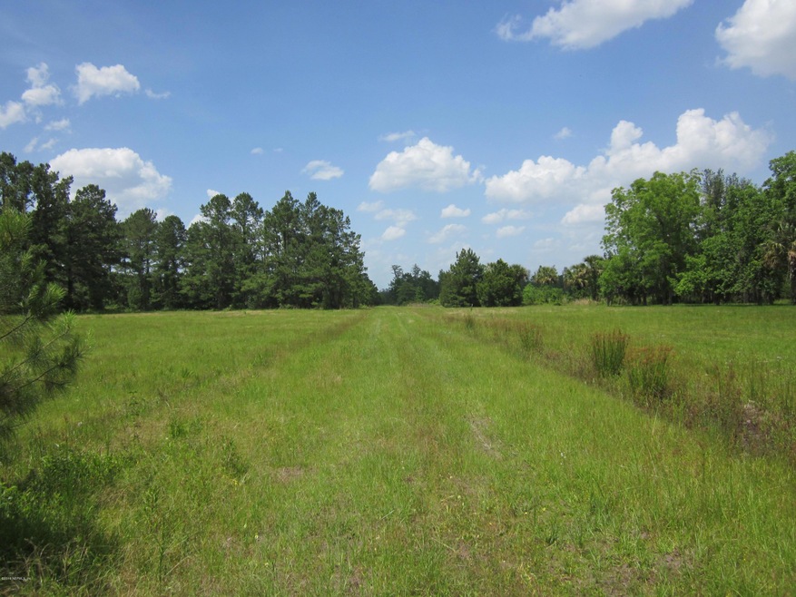 Beautiful Vacant Land