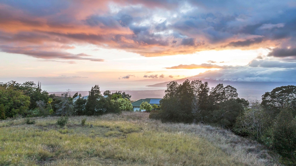 90 Alanuilili Place, Kula, HI 96790 - photo 1