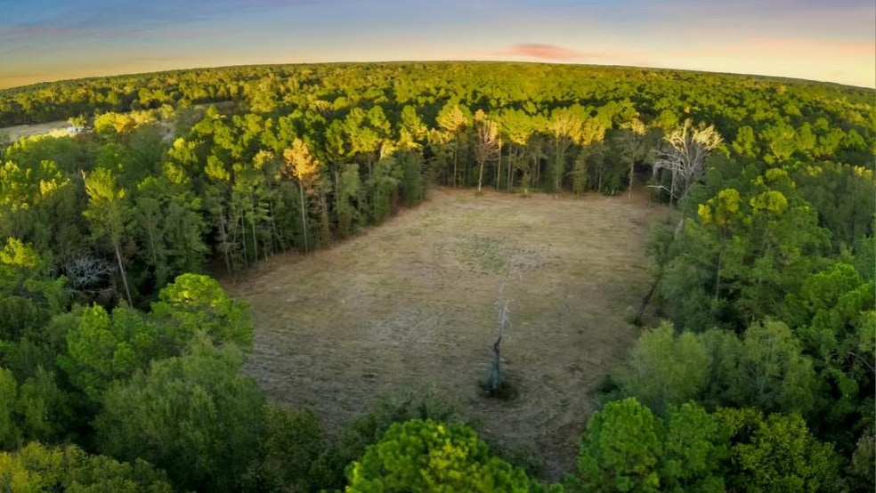 17453 Shop Branch Rd, Huntington, TX 75949 - photo 1