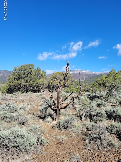 00755 Pinon Crest Way, McCoy, CO 80463 - photo 1