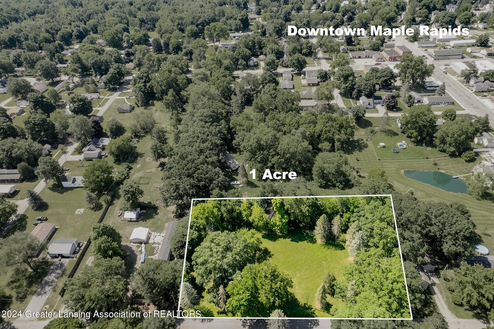 Lot 70 Mill Rd Maple Rapids MI-111