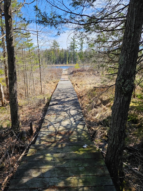 Lake view