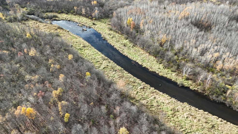 20 acres Old 17 Rd, Schley, WI 54452 - photo 1