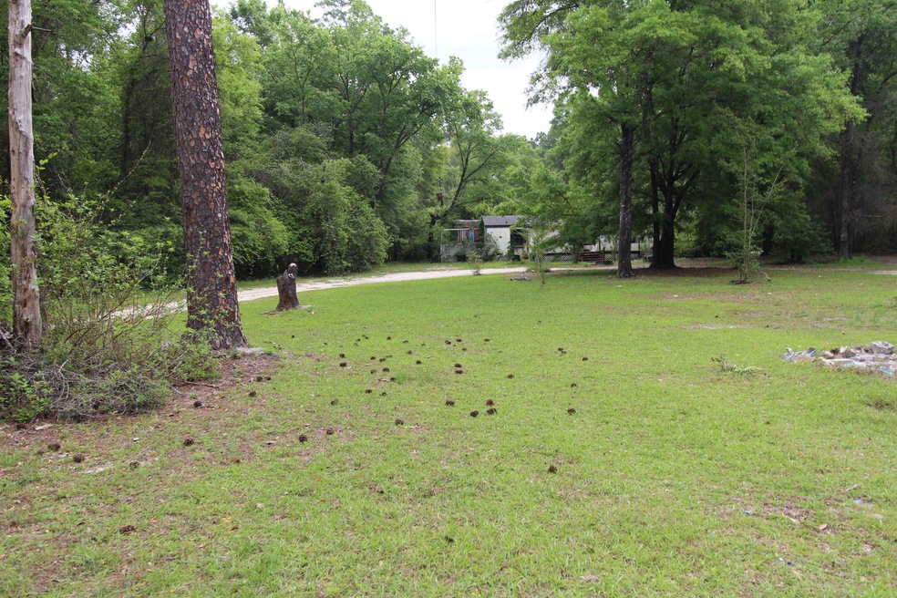 189 Forest Ln, Crawfordville, FL 32327 - photo 1