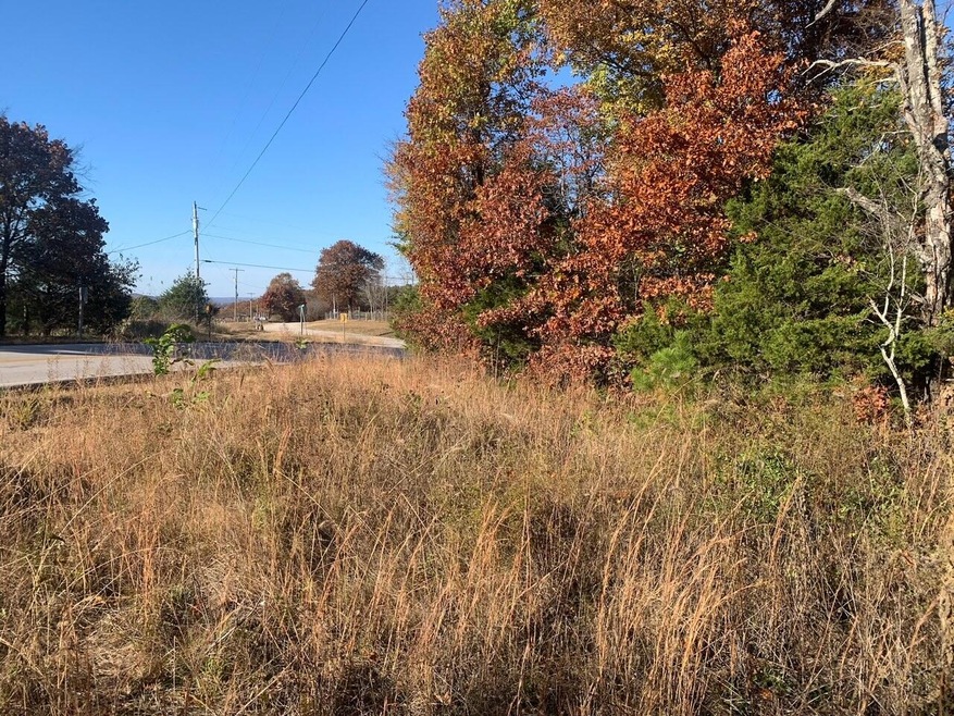 Tbd State Hwy 76, Shell Knob, MO 65747 - photo 1