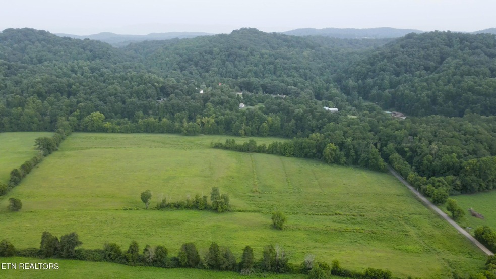 7662 Haws Rd unit 3, Knoxville, TN 37920 - photo 1