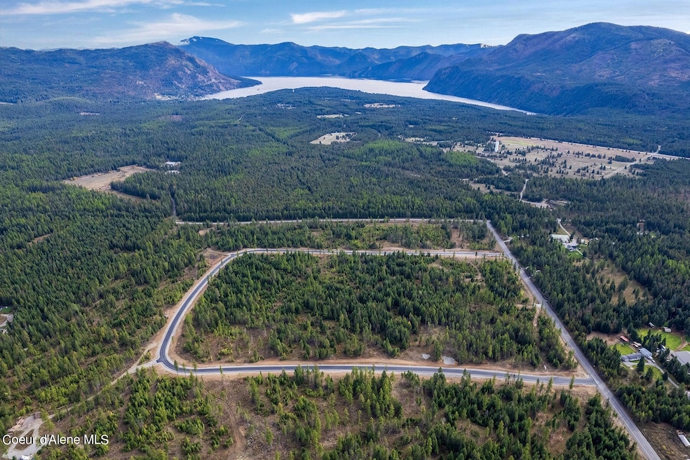 Ariel View