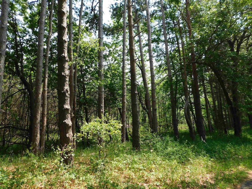 N4502 Pine Dr, Montello, WI 53949 - photo 1