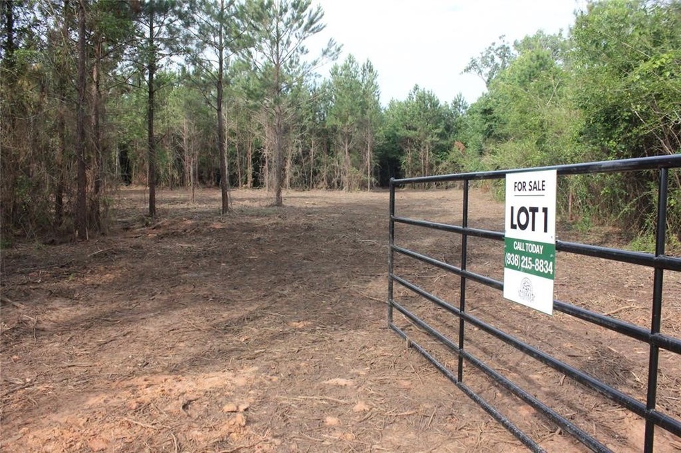 0 Fm 2251 Lot 1 unit 29919240, Lufkin, TX 75904 - photo 1
