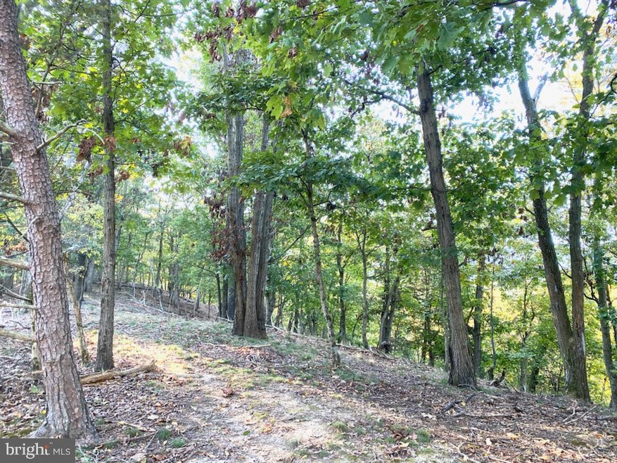 Lot 6C Sandy Hook Rd, Strasburg, VA 22657 - photo 1