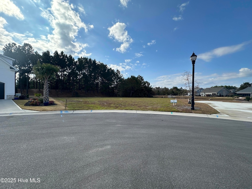 2216 Palm Pointe NE, Leland, NC 28451 - photo 1