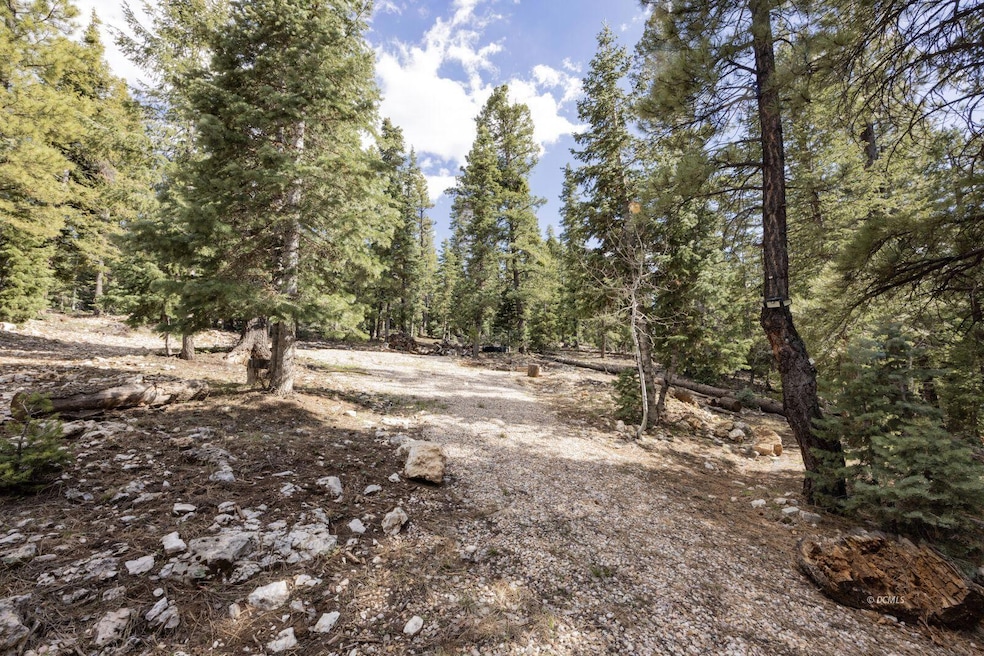 Prime .67 Acre Lot in Duck Creek