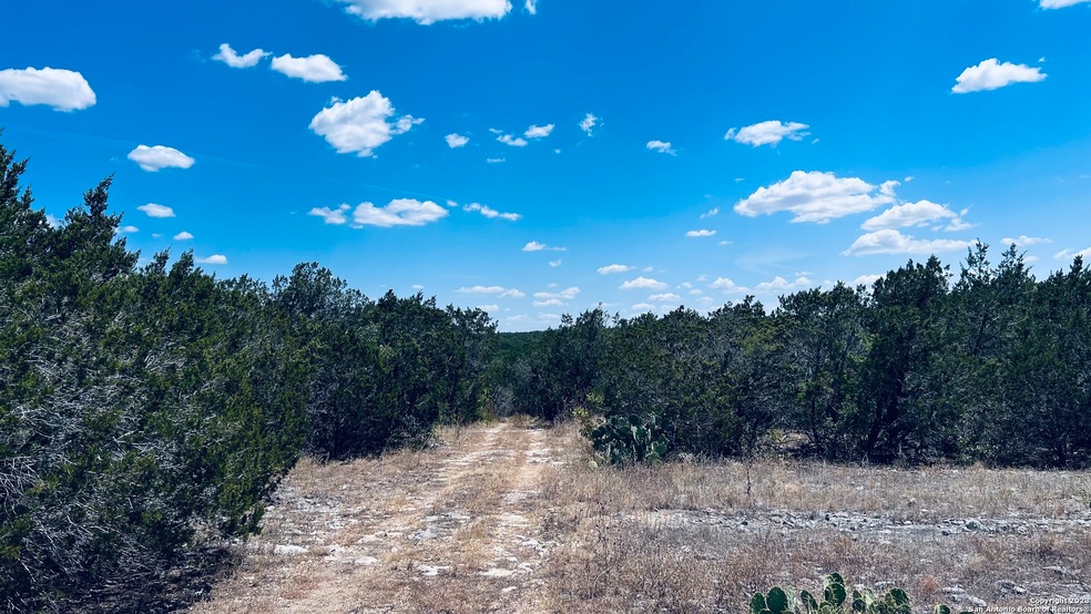 1474 Private Road 233, Hondo, TX 78861 - photo 1