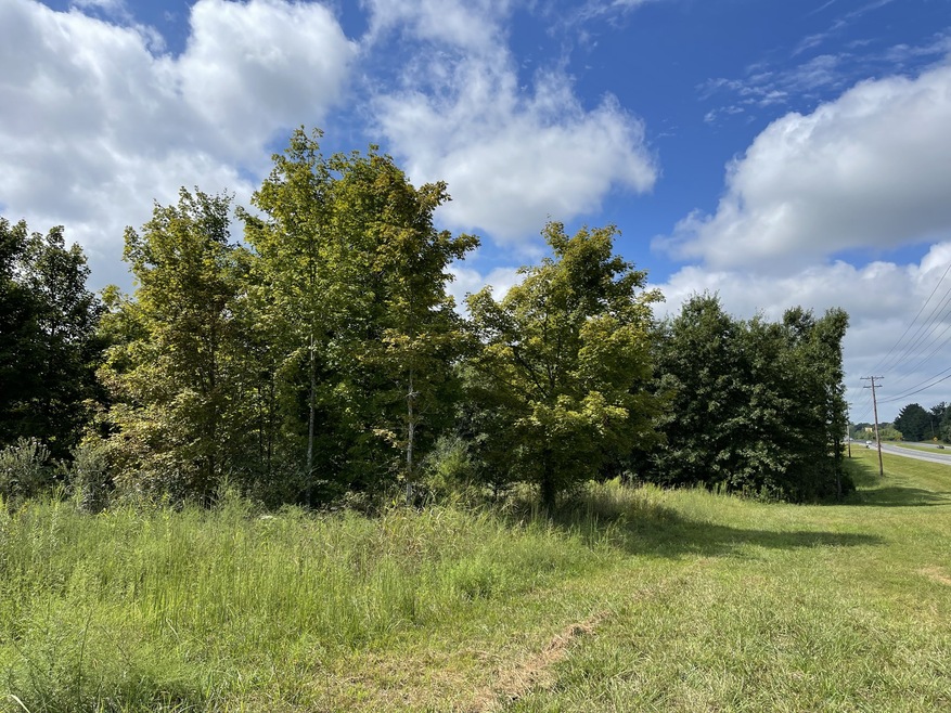 0 New Manchester Hwy, Manchester, TN 37355 - photo 1