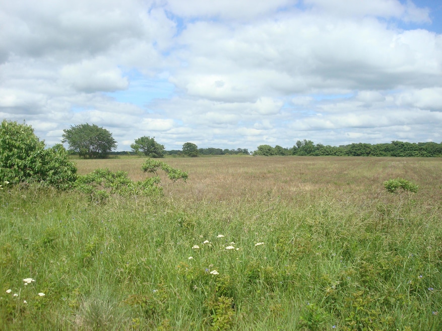 DSC05851