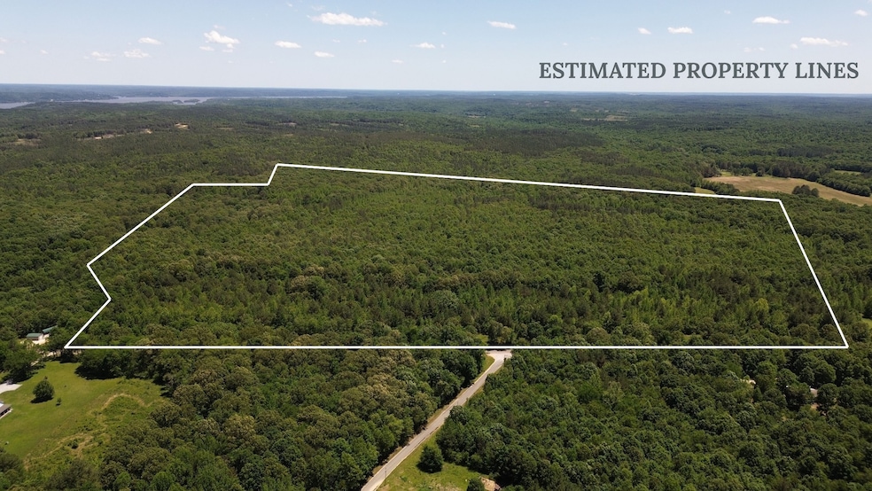 0 Point Mason Rd, Big Sandy, TN 38221 - photo 1