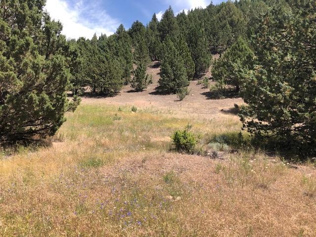 0 Lot 704 Patterson Dr unit 220104618, Canyon City, OR 97820 - photo 1