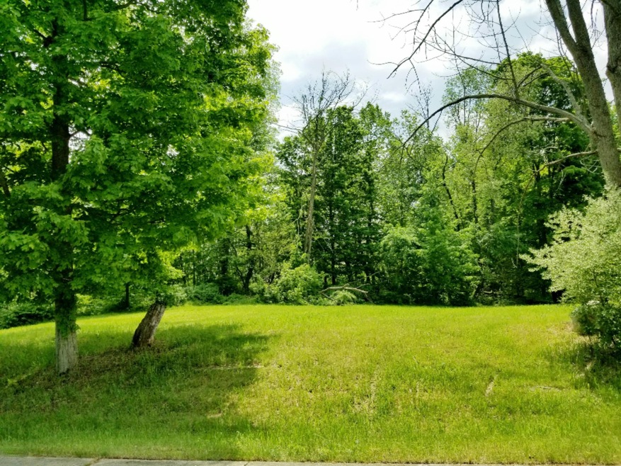 9043 Conifer Ridge Dr SW, Byron Center, MI 49315 - photo 1