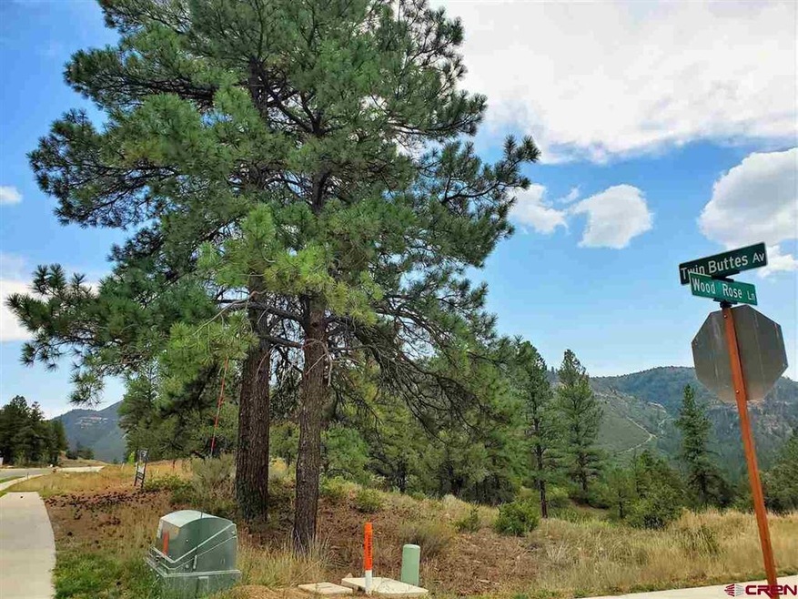 38 Wood Rose Ln, Durango, CO 81301 - photo 1