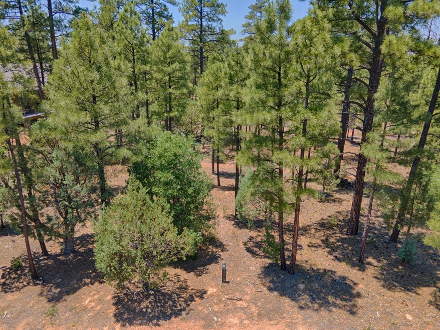 DJI_0161_HDR