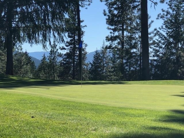 LOT 1 Hogans Way, Chewelah, WA 99109 - photo 1