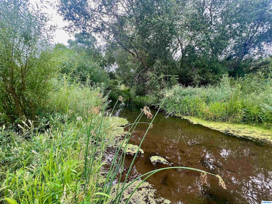 5 Chestnut St unit TRACT 1A & 1B, Mimbres, NM 88049 - photo 1