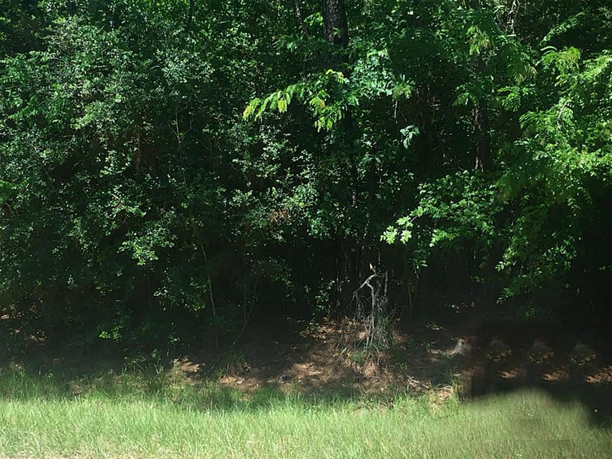 23407 Green Forest St, Hockley, TX 77447 - photo 1