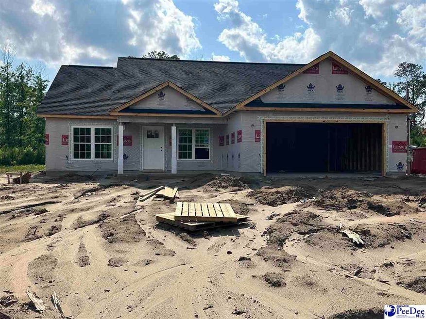 492 Cane Branch Rd, Loris, SC 29569 - photo 1