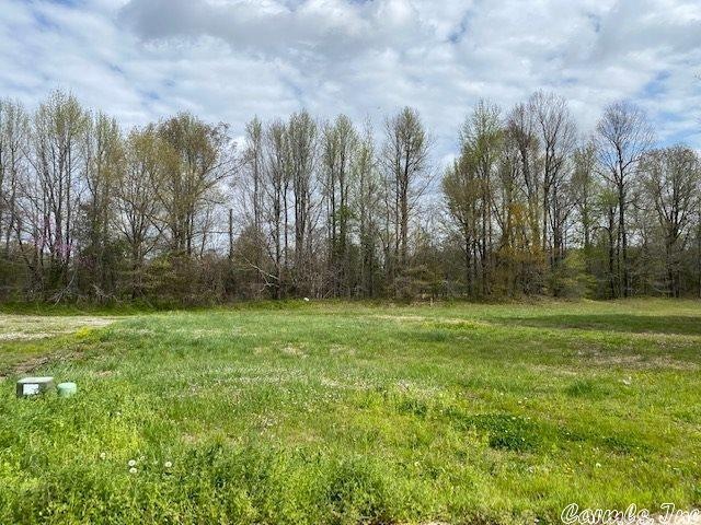 lot 7 William Hall Dr, Paragould, AR 72450 - photo 1