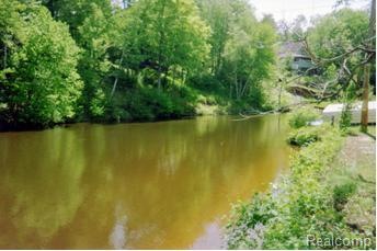 Tittabawassee River