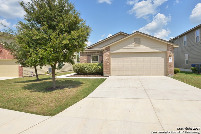 4022 Pavo Viejo, San Antonio, TX 78223 - photo 1