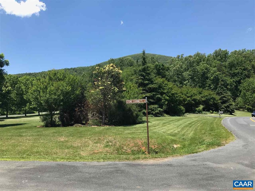 458 Stone Chimneys Rd unit I11-1D, Nellysford, VA 22958 - photo 1