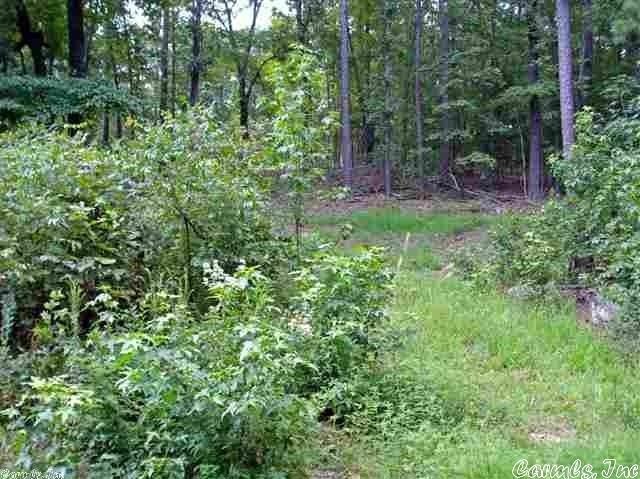 12 Rockwood Dr, Tumbling Shoals, AR 72581 - photo 1