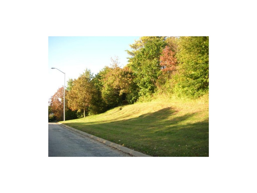one of the best lots left in Briarcliff West