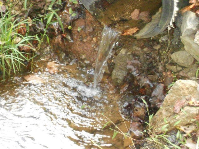 0 Lea Lakes unit 866370, Blaine, TN 37709 - photo 1