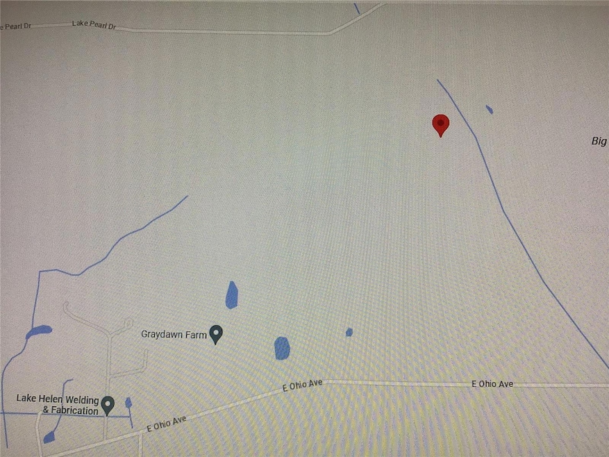 0 Parcel 28 17 31 02 12 0260 unit MFRV4931195, Lake Helen, FL 32744 - photo 1