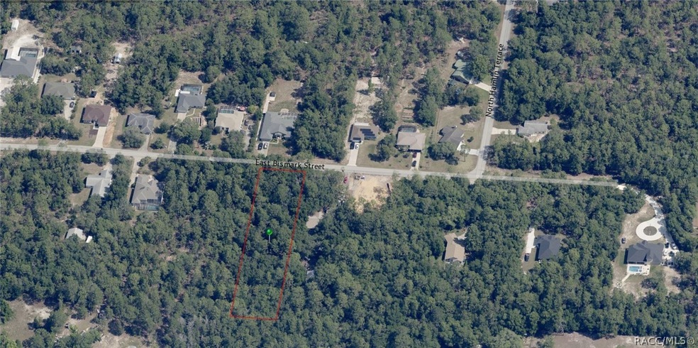 1730 E Bismark St, Hernando, FL 34442 - photo 1