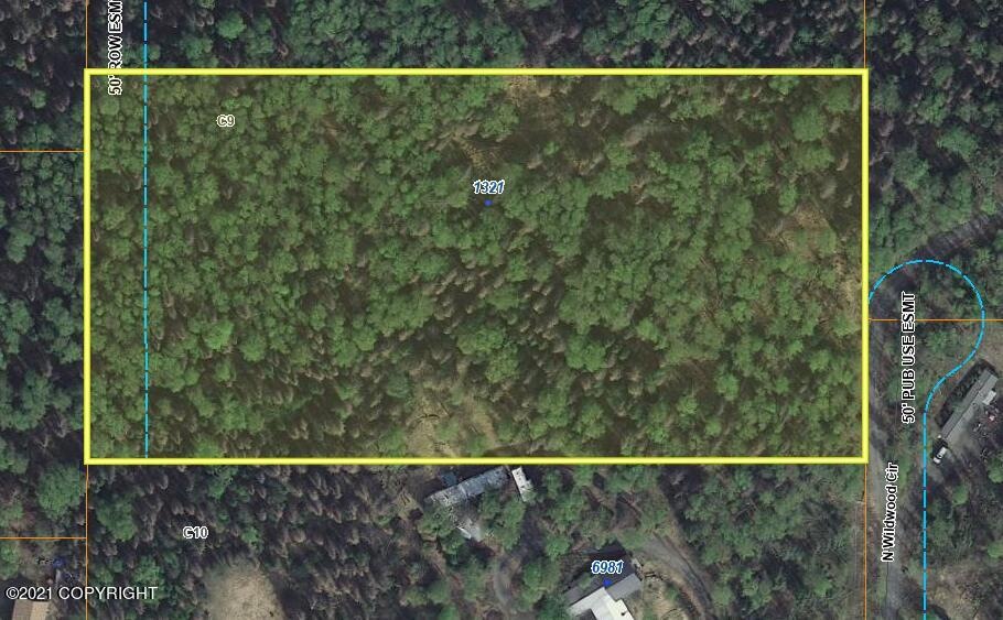 Well Treed Lot!