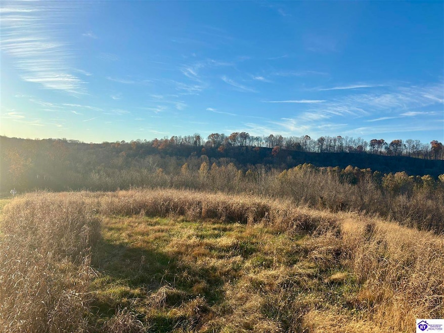 8AC Tucker Rd, Greensburg, KY 42743 - photo 1