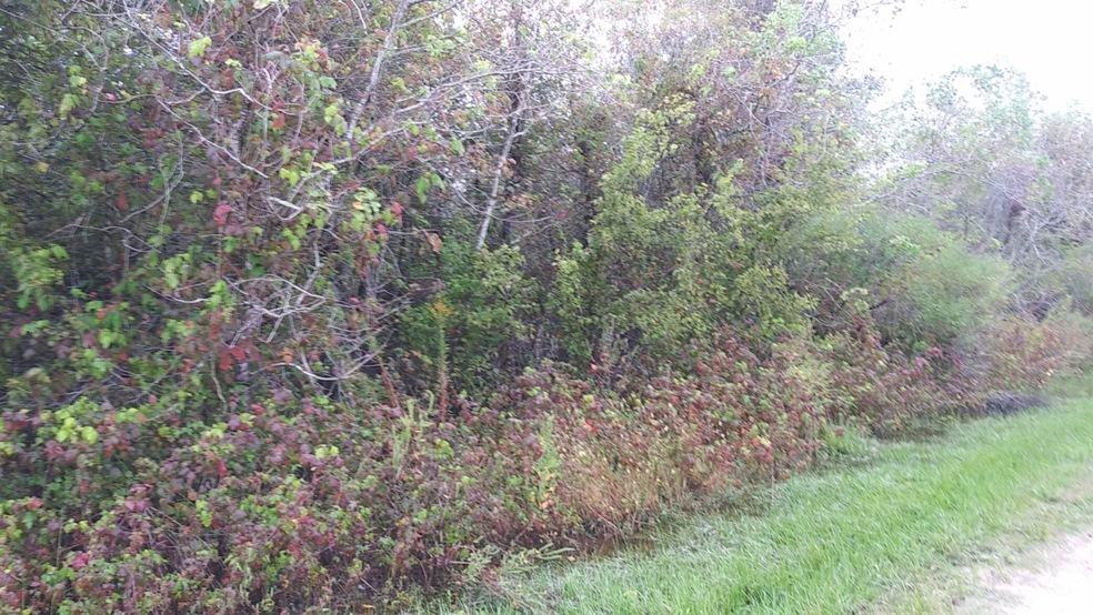 1635 Algoa Rd, Algoa, TX 77511 - photo 1