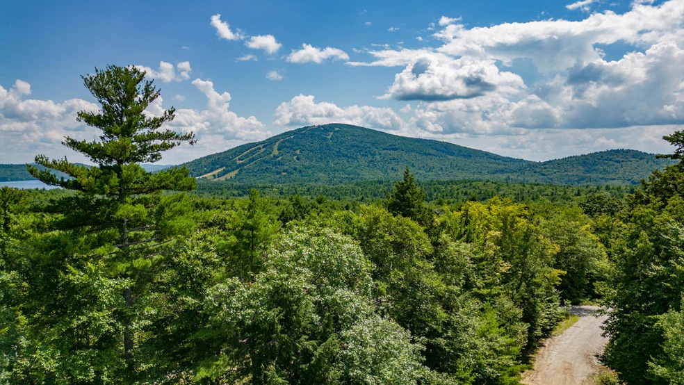 41-05 Tanner Way, Bridgton, ME 04009 - photo 1