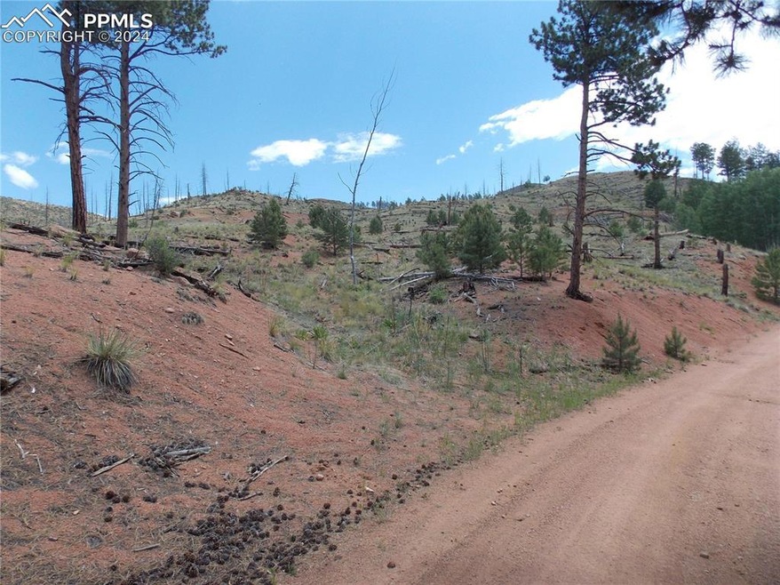 On Crooked Trail Rd looking at the lot