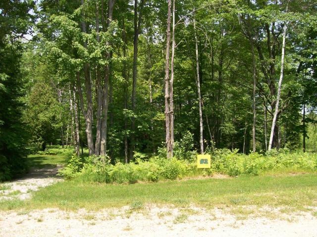 Lot 2 White Buck Ln, Lake, WI 54114 - photo 1