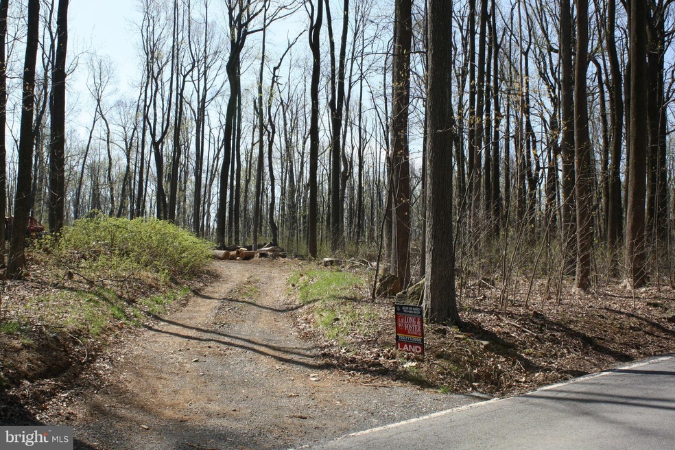 0 Blueridge Mountain Rd unit 1000714459, Bluemont, VA 20135 - photo 1