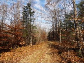 Lot 2 Gordon Hill Rd, New Hampton, NH 03256 - photo 1