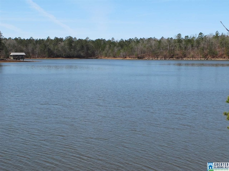 0 County Road 256 unit 773940, Wedowee, AL 36278 - photo 1