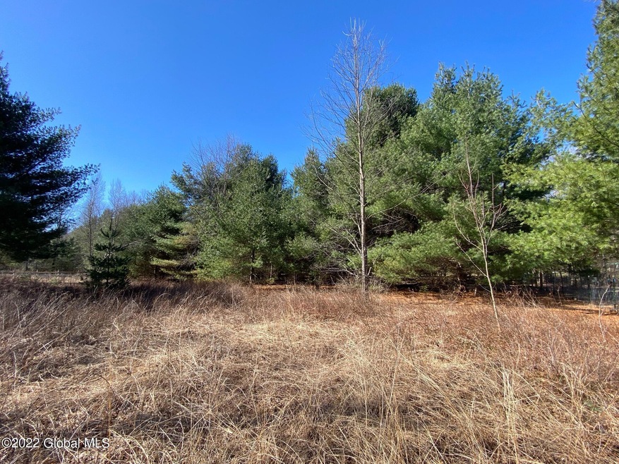 13 Comstock Rd, Corinth, NY 12822 - photo 1